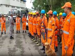 
      
      Nagaland conducts 8th Emergency Preparedness Exercise NEPEX 2026
      
      