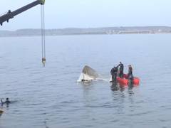 
      
      MP: Death toll rises to six in Jabalpur cruise boat capsize incid
      
      