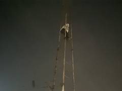 
      
      Junior Engineer Abhay climbs telephone tower over suspension
      
      