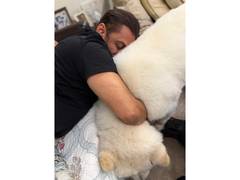 
    Salman Khan finds 