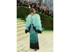 
      
      Anna Wintour arrives at Met Gala in feathered look 
      
      