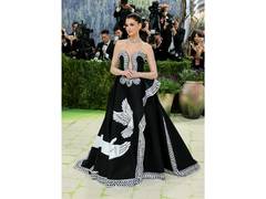 
      
      Anne Hathaway shines at Met Gala 2026 
      
      