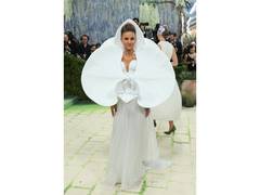 
      
      Met Gala 2026: Natasha Poonawalla stuns in floral couture
      
      