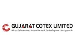 
      
      Gujarat Cotex to Raise Rs. 42.73 crore via Rights Issue
      
      