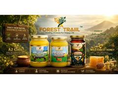 
      
      How 'Forest Traiil' is Turning Forgotten Roots into Modern Health
      
      