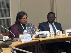 
      
      India outlines experience in agricultural transformation offers
      
      