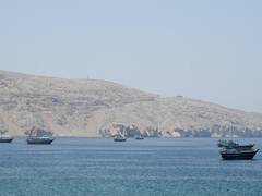 
      
      Trump announces end of strikes on Iran, says St of Hormuz 
