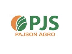 
      
      Pajson Agro Reports Robust 37% Revenue Growth to Rs 256.92 Crore
      
      