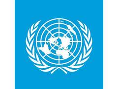
      
      UN panel urges countries to move beyond GDP as sole measure of pr
      
      