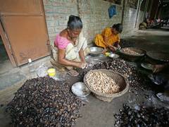 
      
      Women-led nano and micro enterprises in rural India key drivers
      
      