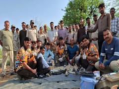 
      
      Stray male Cheetah rescued from Rajasthan, returned to Kuno
      
      