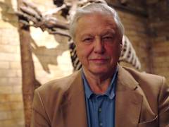 
      
      David Attenborough turns 100 years old today
      
      
