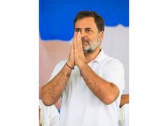 
      
      Rahul Gandhi to attend TVK chief Vijay's swearing-in ceremony
      
      