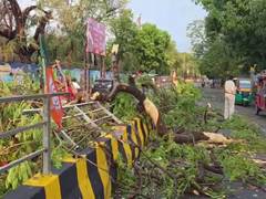 
      
      3 dead, 5 injured as severe storm hits Patna
      
      