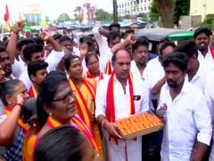 
      
      TVK workers distribute sweets, burst crackers in Madurai
      
      