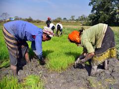 
      
      Target additional 100 lakh hectares under micro-irrigation
      
      
