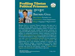 
      
      CTA reports case of Tibetan webmaster sentenced to seven years
      
      