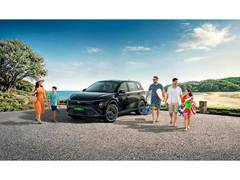 
      
      How the VF MPV 7 Can Give Indian Families
      
      