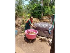 
      
      1,000 tribal households near Statue of Unity get biogas plants
      
      