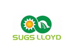 
      
      Sugs Lloyd - Revenue Surges 71% and PAT Jumps 72% in FY26
      
      