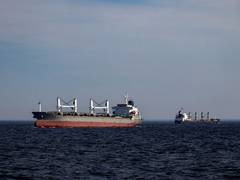 
      
      India condemns attack on Indian-flagged ship off Oman coast
      
      