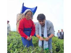 
      
      Minister Scindia joins tea pluckers at Temi Tea Garden
      
      