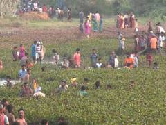 
      
      Centuries-old fishing festival celebrated in Madurai
      
      