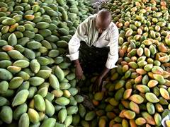 
      
      Mango Diplomacy blooms in Seattle
      
      