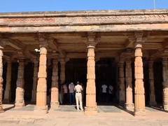 
      
      Devotees offer prayers at Bhojshala complex in Dhar
      
      