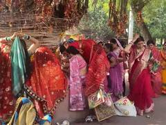 
      
      Vat Savitri Vrat 2026: Married women offer prayers at Sangam Ghat
      
      