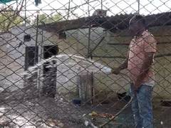 
      
      Special arrangements at Bathinda zoo to protect wildlife from ris
      
      