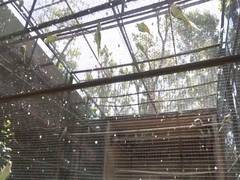 
      
      Dehradun Zoo steps up efforts to protect animals from heatwave
      
      
