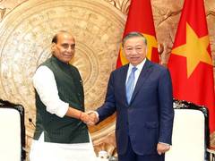 
      
      Defence Minister holds high-level defence talks, meets To Lam
      
      