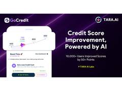
      
      GoCredit's TARA AI Labs Releases BASIC
      
      
