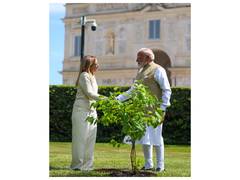 
    PM Modi, Italy PM plant Black Mulberry sapling
    