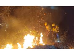 
      
      Uttarakhand: Forest fire near Basugaon doused off by SDRF
      
      