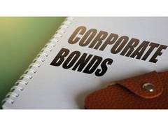 
      
      India’s Corporate Bond Market at an Inflection Point
      
      