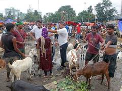 
      
      West Bengal govt revises Eid al-Adha holiday schedule to May 28
      
      