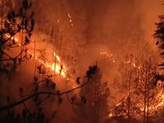 
      
      Massive forest fire erupts in Uttarakhand's Tehri Garhwal
      
      