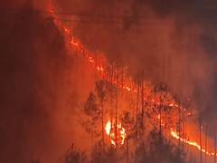 
      
      Uttarakhand: Massive forest fire breaks out in Tehri Garhwal
      
      
