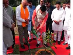 
      
      MP CM Mohan Yadav plants sapling at NTPC Singrauli campus
      
      