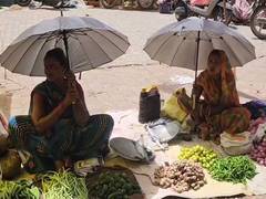 
      
      Red alert continues in Chhatarpur amid extreme heatwave
      
      