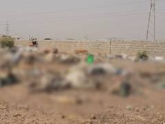
      
      Over 300 dead cow carcasses found in garbage dumping site
      
      