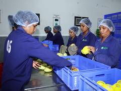 
      
      From local 'mandis' to global markets, transformation of...
      
      