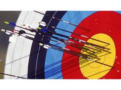 
      
      Veteran Indian Olympian archer Shyam Lal Meena dies at 61
      
      
