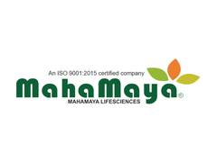 
      
      Mahamaya Lifesciences Limited; FY26 Revenue Grows 25% YoY 
      
      