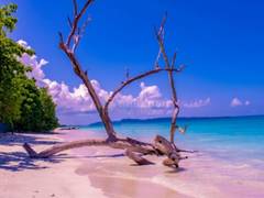 
      
      Andaman Travel Care Recognized for Andaman Tour Packages
      
      