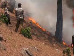 
      
      J-K: Forest fire continues to rage in Udhampur for three days
      
      