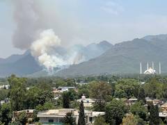 
      
      Khyber Pakhtunkhwa wildfires, drownings expose poor preparedness
      
      