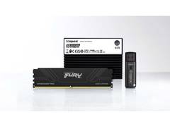 
      
      Kingston Technology Expands High-Performance Portfolio 
      
      